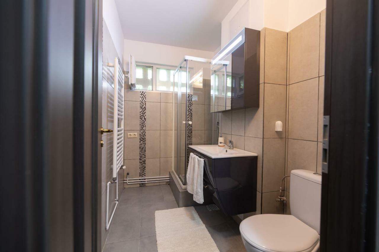 Apartmán Apartament Ada Sibiu Exteriér fotografie